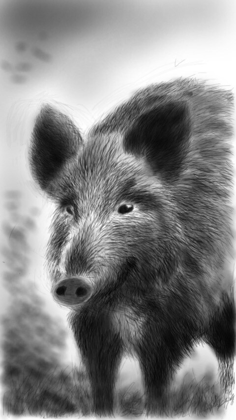 やさしくてあたたかいイラスト描きます デジタルとは思えないやさしいタッチで温もりを感じるイラストを イメージ7