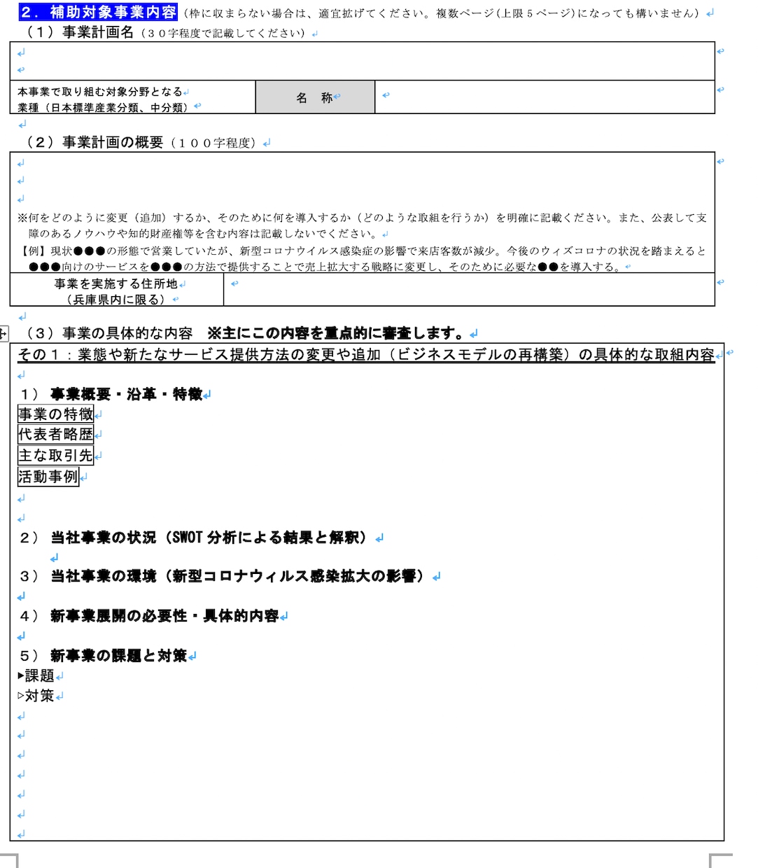 兵庫限定・補助金！ HP制作可の申請書ご提供します 採択された事業計画書とテンプレートをお渡します イメージ3