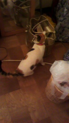 過去顧客対応補足とﾘﾋﾟｰﾀｰの為に用にします プロとして良き将来を築いて参りましょう イメージ1