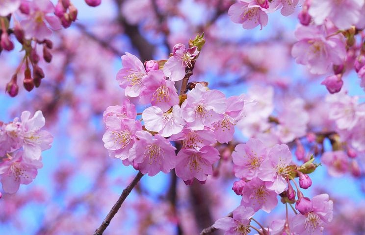 社会福祉士の効率の良い勉強法お教えます 段取りで大きく変わる。計画の立て方を中心にお伝えします。 イメージ1