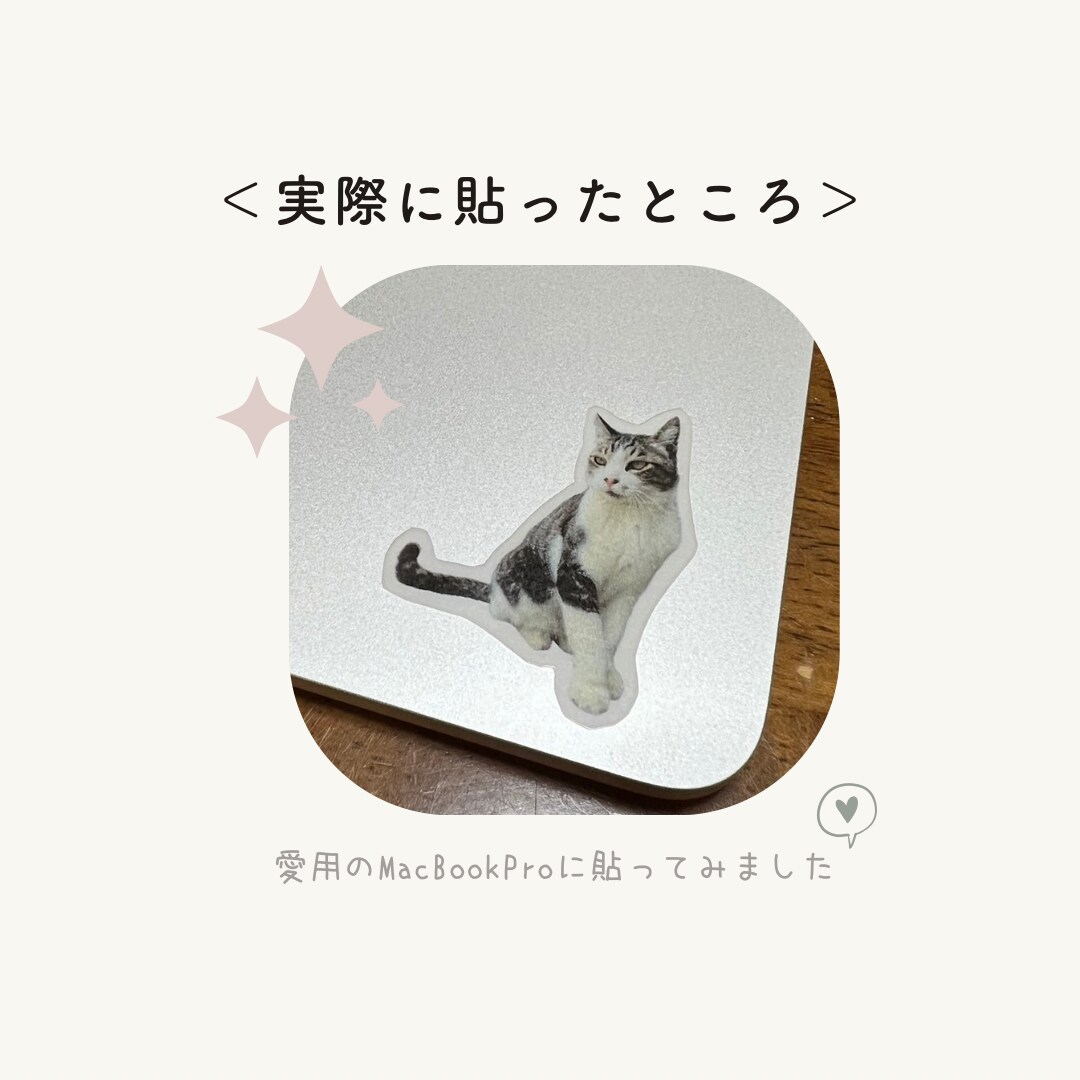 オーダーメイド！世界に一つのペットシール作ります 【送料無料】ハンドメイド♡ラミネート加工で表面ツヤツヤ♩ イメージ5