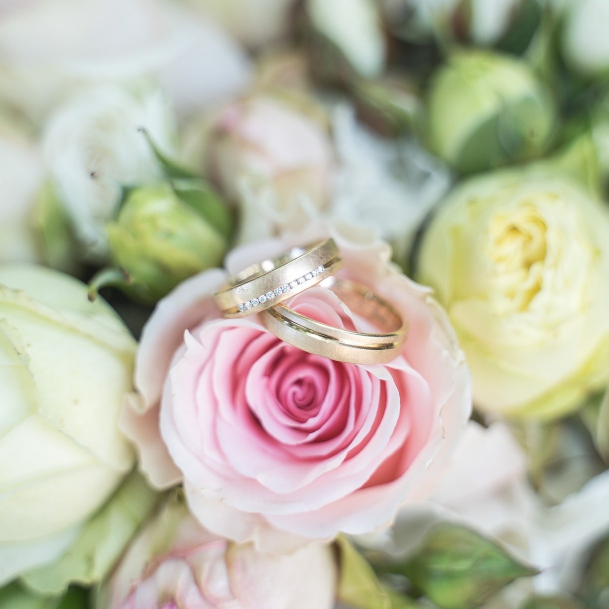 あなたと結ばれる運命のお相手の詳細を女神がみます ❁メッセージ版❁恋愛❁結婚❁出会いの時期❁恋愛成就❁ イメージ8