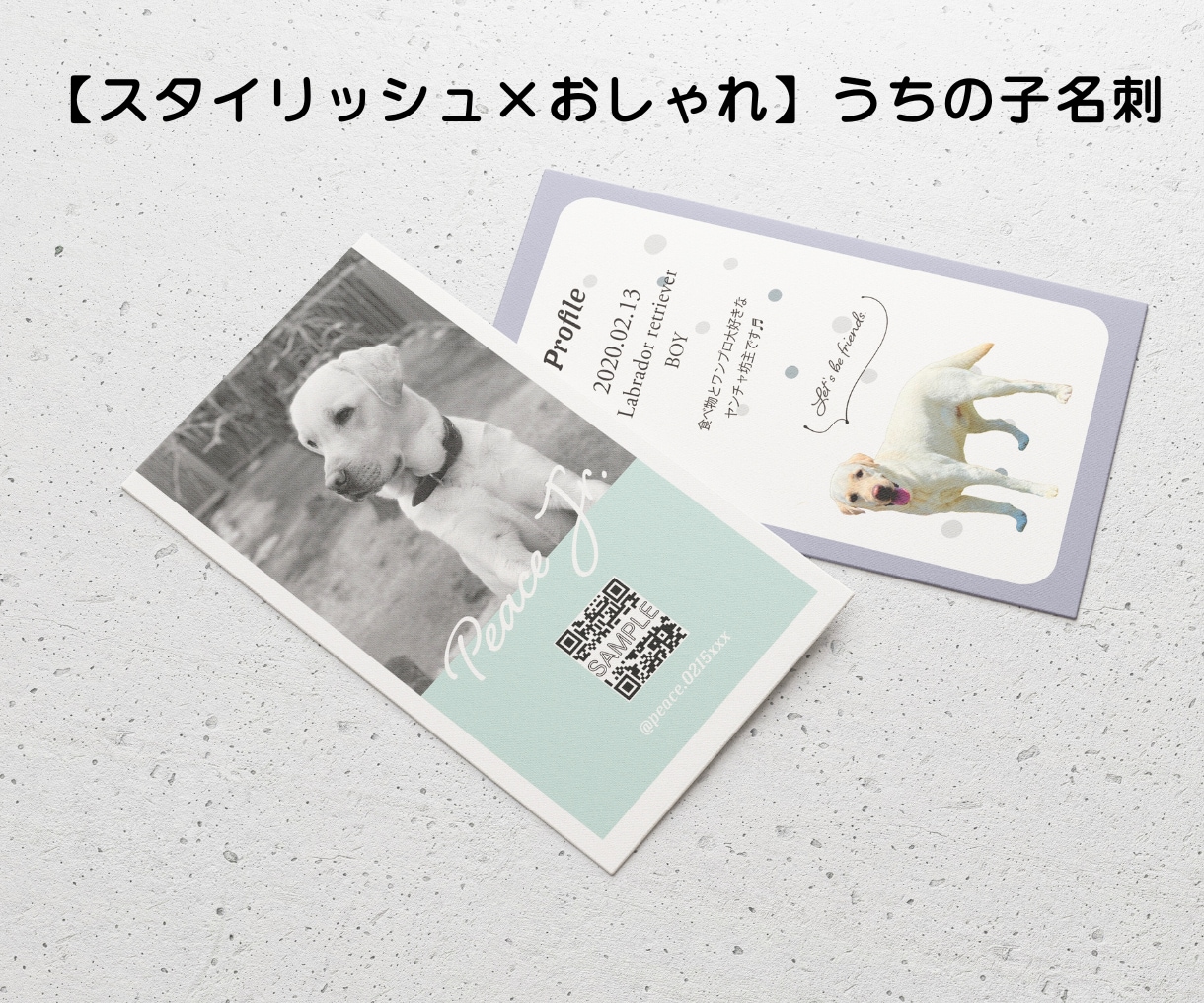 スタイリッシュ×おしゃれ｜うちの子名刺を作成します スマートに、“うちの子”をかっこよくアピール。 イメージ1