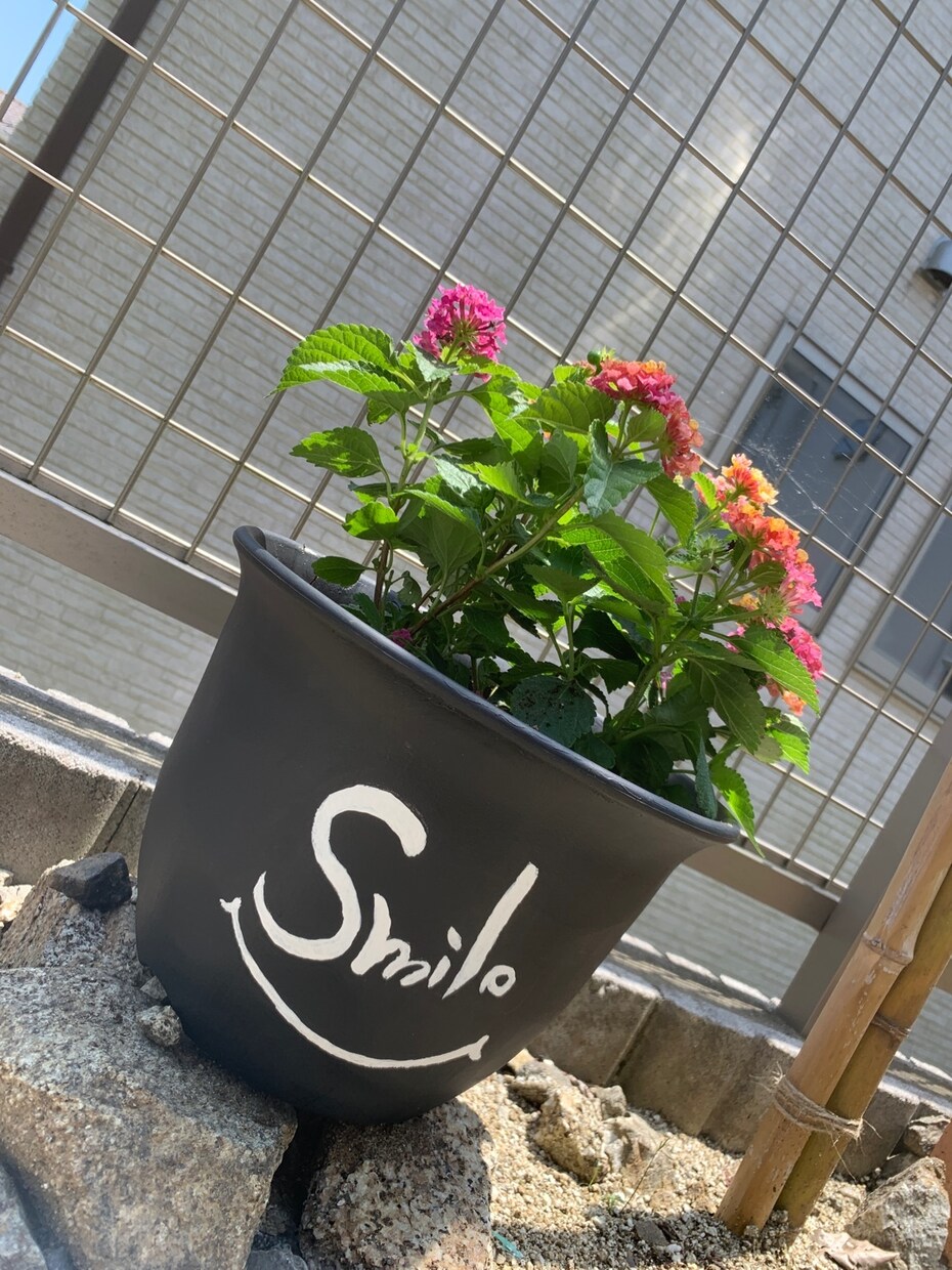 色塗り、ステンシルでリメイクします こんなものが欲しいけど、売ってない、作ってない、に応えます イメージ3