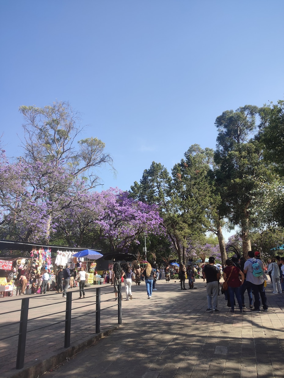 メキシコについて相談にのります 現地での入籍や出産や、メキシコ人との恋愛について イメージ1