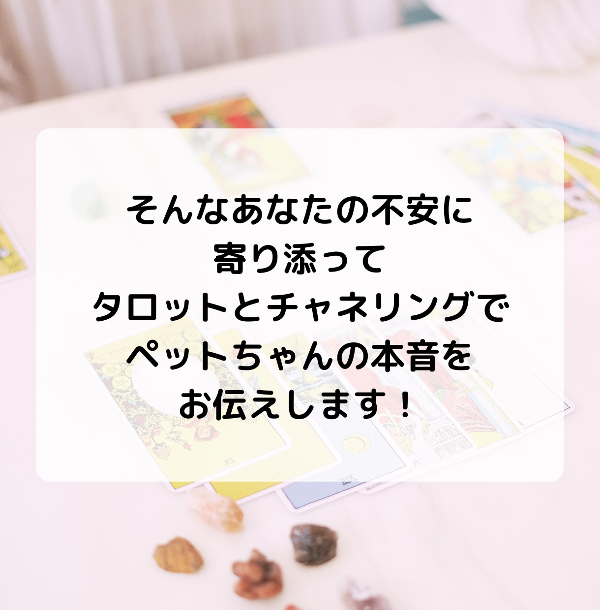 愛するペットの本音を知りたい！サクサク鑑定します 【先着10名様！】実績4600件のスピード鑑定♪ イメージ5