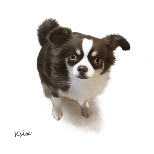 愛犬のリアルなイラスト描きます 愛犬のイラスト、思い出の1枚にいかがでしょうか？ イメージ2