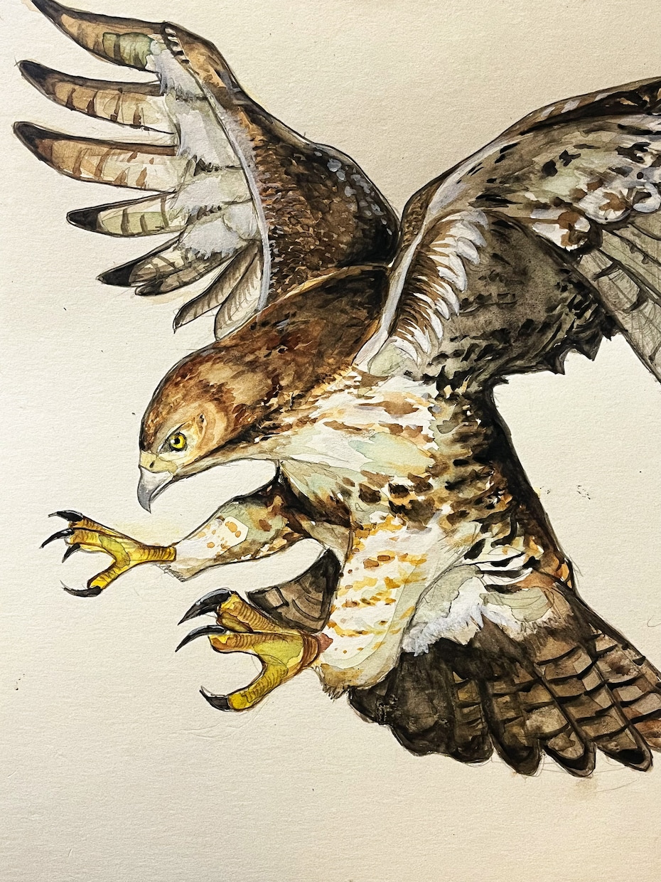 原画郵送✳︎動物を透明水彩や色鉛筆で描きます お好きな動物や愛するペットなど何でも描きます！ イメージ3