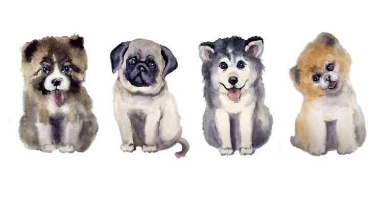 動物セラピストがペットのお話し相談受け付けます 犬猫を主に勉強していきましたしつけ、グルーミング、性格、 イメージ2