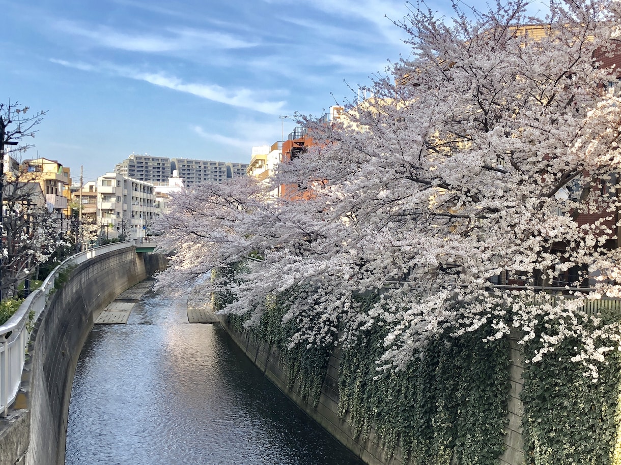 今しんどい方！悩みに寄り添い心を軽くします ➖少しでも心が穏やかになるよう寄り添います イメージ1