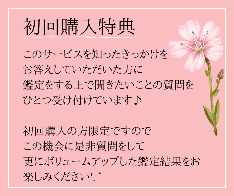 2025年の貴方だけの運勢を四柱推命で見ます 2025年は運を味方につけて素敵な1年を✨開運を届けます！ イメージ3