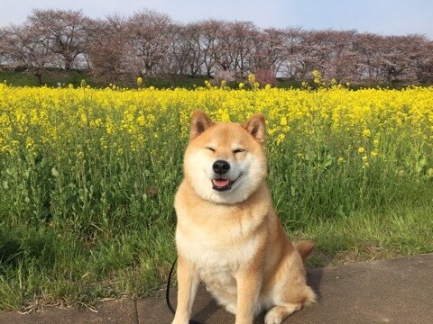 悩み相談承ります 今の悩み、これからの人生や今の悩み相談に乗ります！ イメージ1