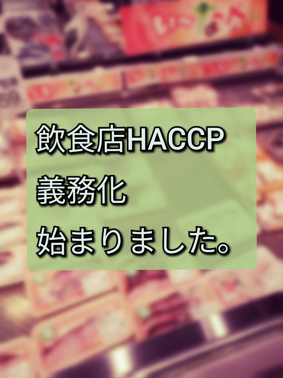 飲食店用HACCPの書類作成致します HACCPの義務化が開始。保健所への提出書類にも使えます イメージ3