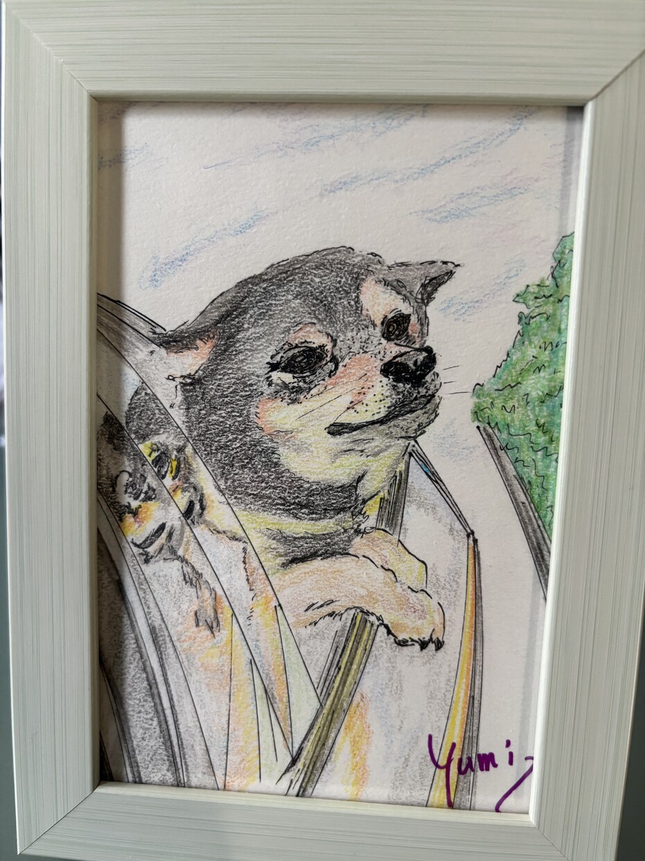 うちの子、お空ぐみの子、を可愛く描きます 可愛くフリーハンド、色鉛筆等でポストサイズからA4判サイズ イメージ10