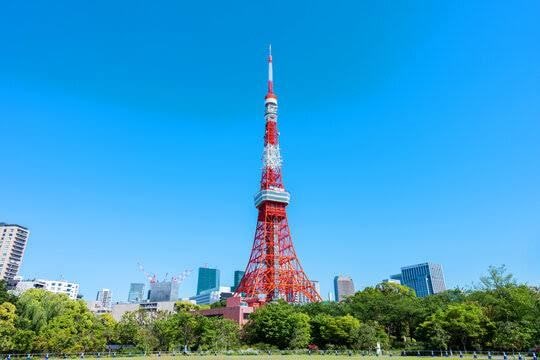 1枚500円 画像の高画質化します 高画質化や拡大、サイズ指定可能 イメージ2