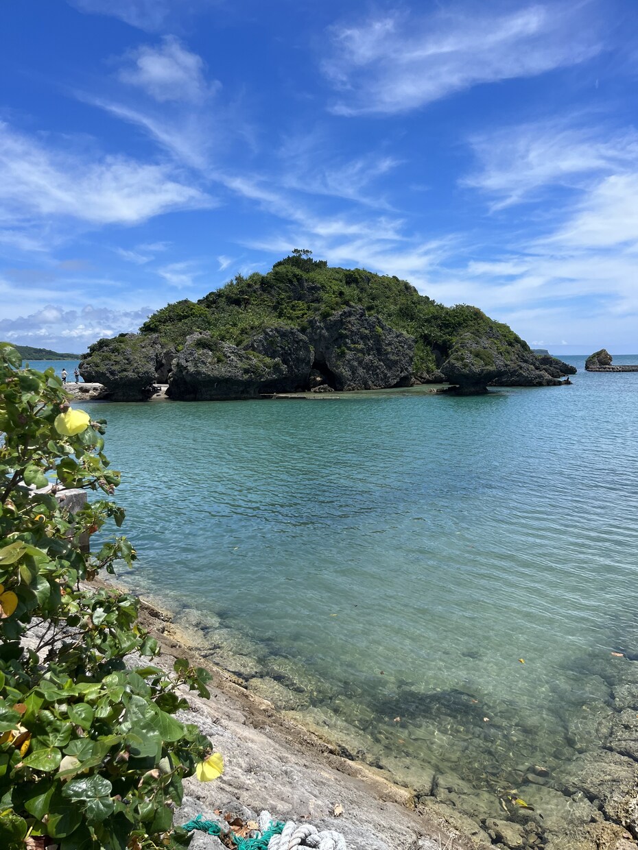 今必要なメッセージをカードで引き出します あなたを幸せにするタロット占い♡丁寧に鑑定致します イメージ2