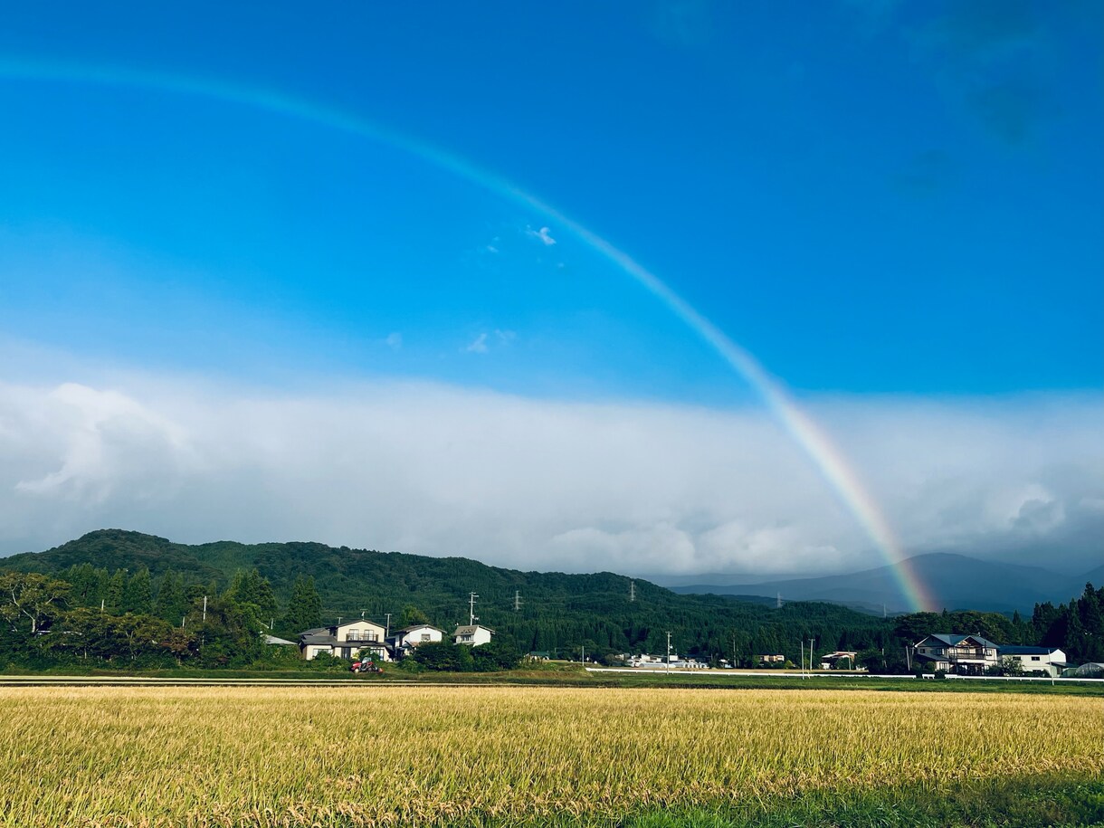 10代・不登校等／不安を一緒に整理します 【実務経験あり】不登校児の生活支援＆現役キャリアカウンセラー イメージ1