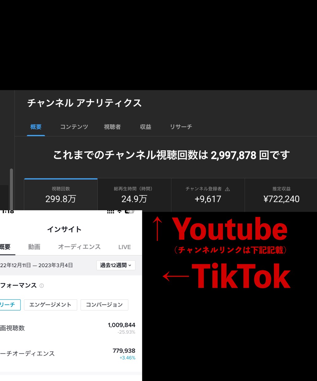 若者特化の英語翻訳を行います 英語翻訳でYoutube登録1万人以上伸ばした圧倒的信頼度 イメージ2