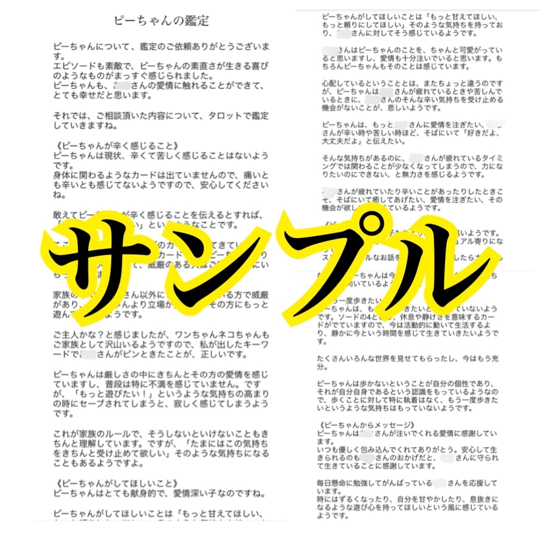 愛するペットさんとアニマルコミュニケーションします 大切なペットさんと心を込めてお話ししたい方 イメージ2