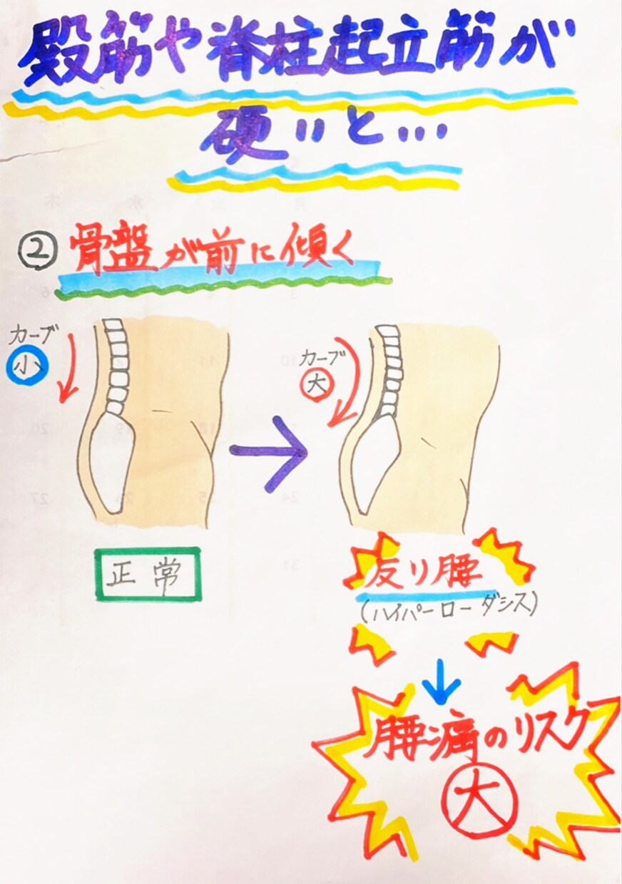 現役プロ整体師が【腰痛の原因】についてお答えします 整体、腰・ひざ関節の痛み、生活習慣など…お気軽にご相談下さい イメージ4