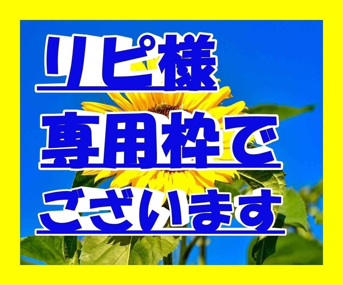 ココナ様専用 20りぴ - 米・雑穀・粉類