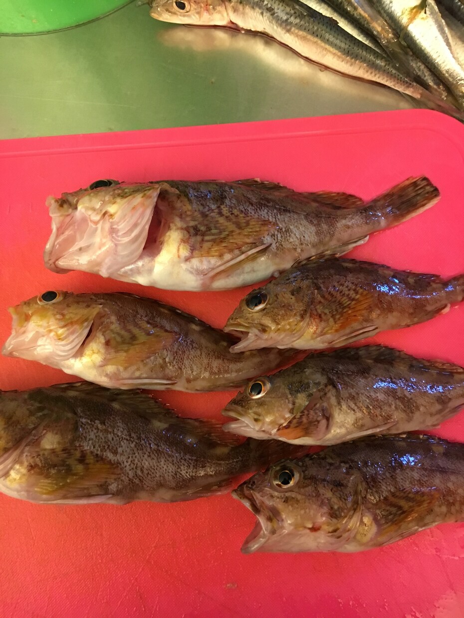 釣り歴7年が海の釣テク教えます 海釣り初心者の方にボウズにならない必釣法を教えます！ イメージ3