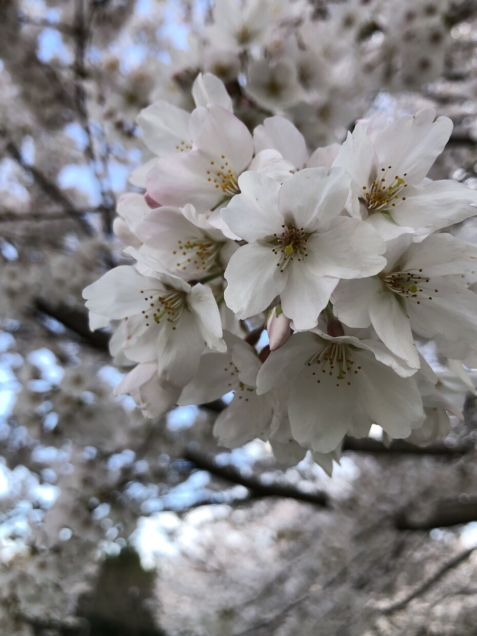 子供も自分も人生豊かにしたい方相談のります あなたの中に眠るアーティスティックな可能性を引き出します！ イメージ1