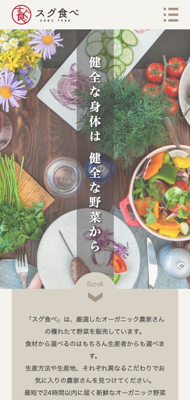 HTML/CSSでWebサイト制作いたします 個人、起業、独立して頑張るあなたを全力でサポートします！！ イメージ8