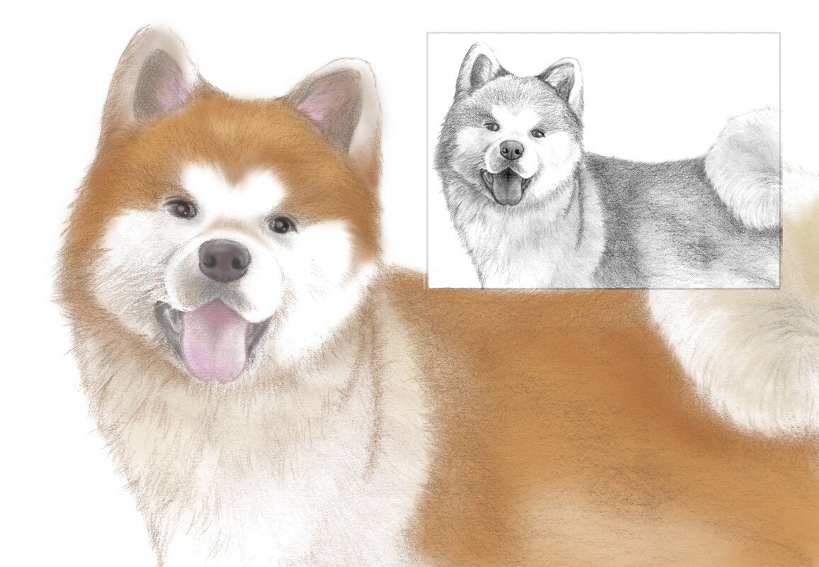 大事な「ウチの子」のカラーアートをお描きします 鉛筆画に色を入れ、ほっこりリアルなアート画にします イメージ5