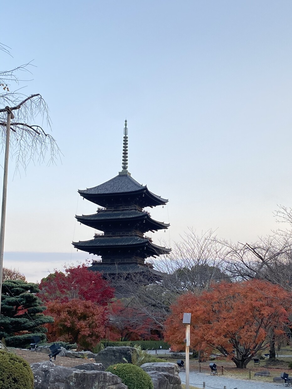 お酒の悩み相談受付ます 日頃思う事、心配な事、なんでも聞きます。 イメージ2