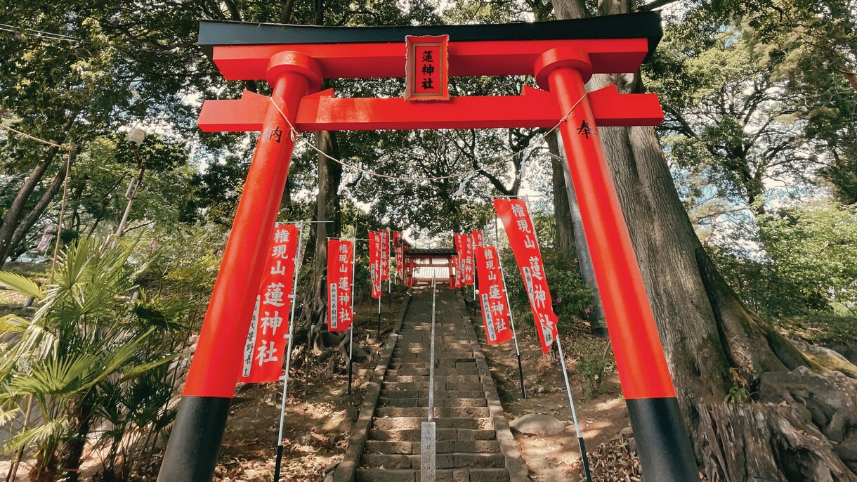複雑な恋愛の「真実の愛」を霊視で視ます 不倫・浮気・三角関係…誰にも相談できない恋を、魂から視ます イメージ7