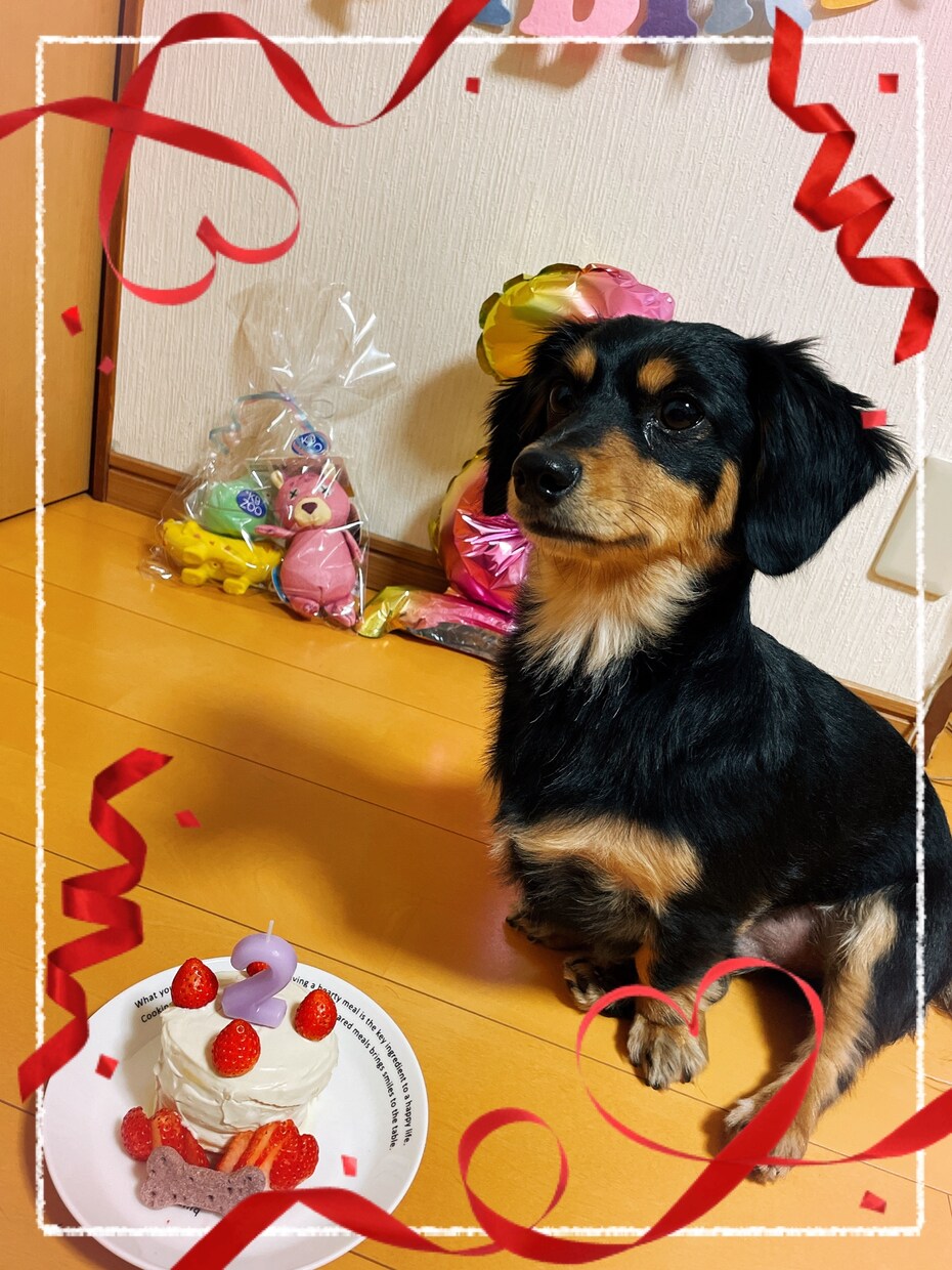 動物からのメッセージをお届けします あなたのペットからのメッセージをお届けします♡ イメージ3