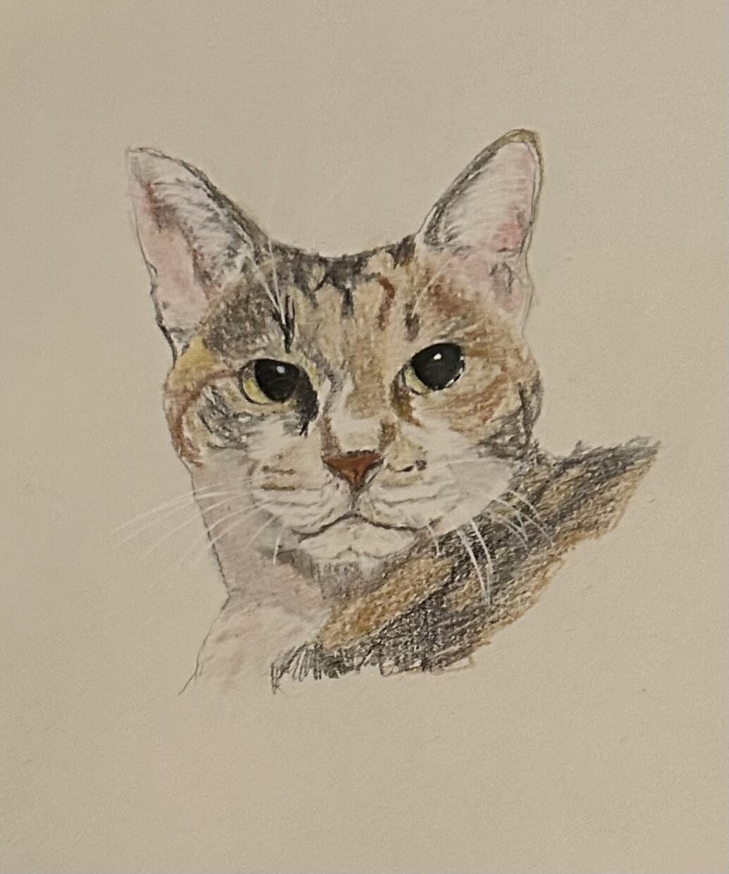 お家の猫ちゃんの似顔絵描きます 色鉛筆で丁寧に仕上げます！！お顔中心に描かせて戴きます。 イメージ7