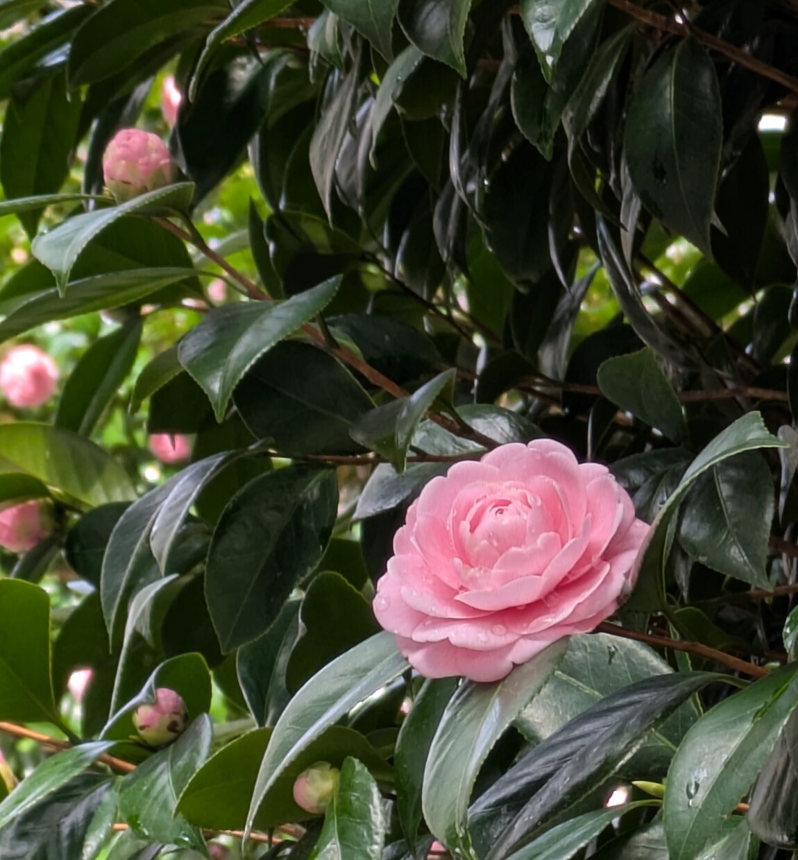 チャネリングでカウンセリングします 貴方のモヤモヤを全力で整えます♡心をオープンにして！ イメージ1