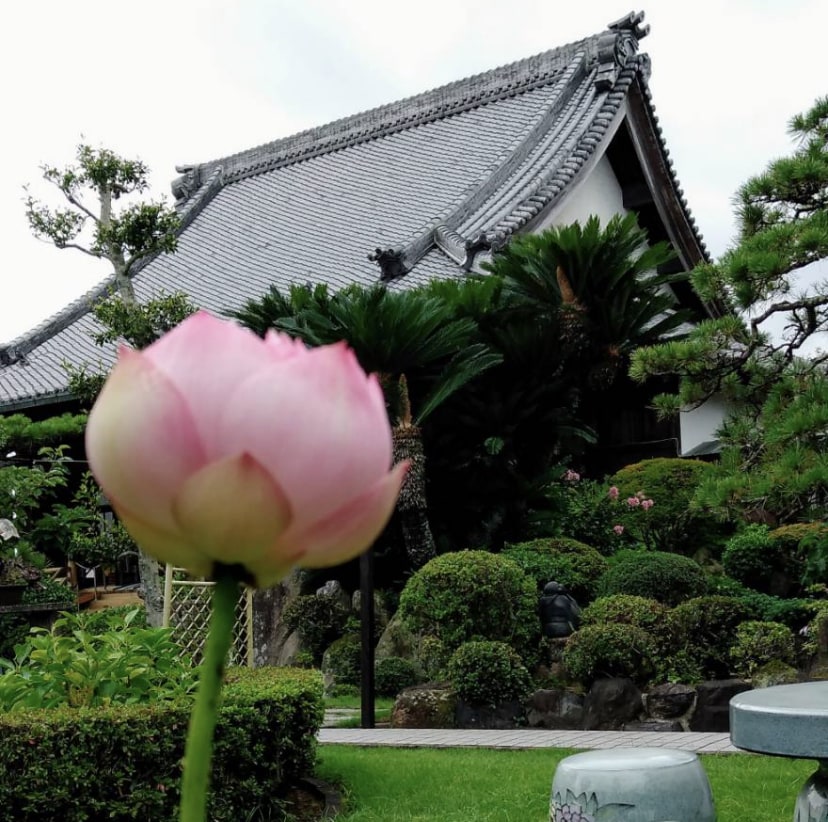 お坊さん&整体師です。どんな事でも相談にのります 霊視、遠隔ヒーリング、どんな小さな事でもご相談ください イメージ1