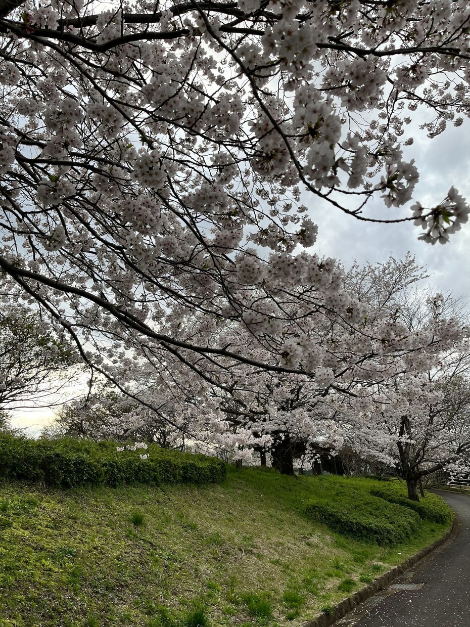 貴方に合った適職をお調べします 「つむぎ学鑑定」にて生年月日よりお調べ致します イメージ2