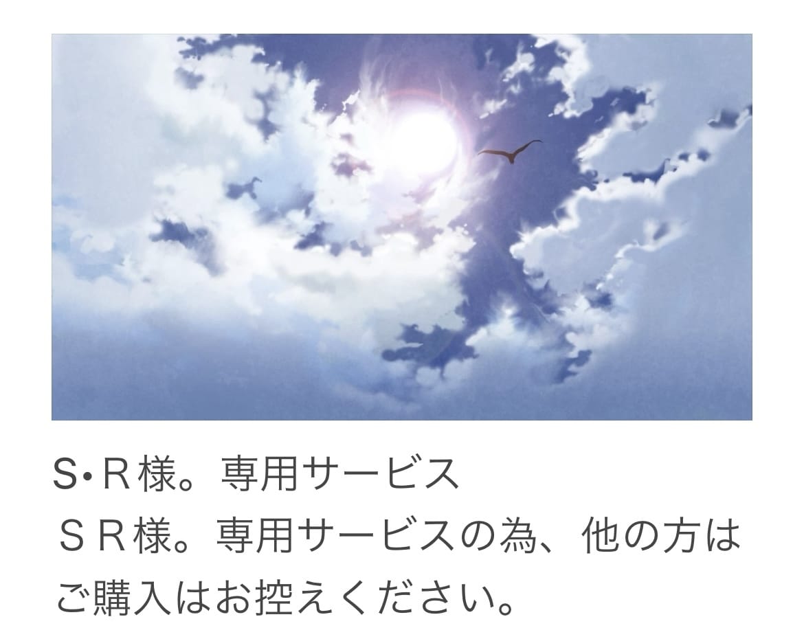 ＳＲ様。専用サービスます ＳＲ様。専用サービスの為、他の方はご購入をお控えください。 イメージ1