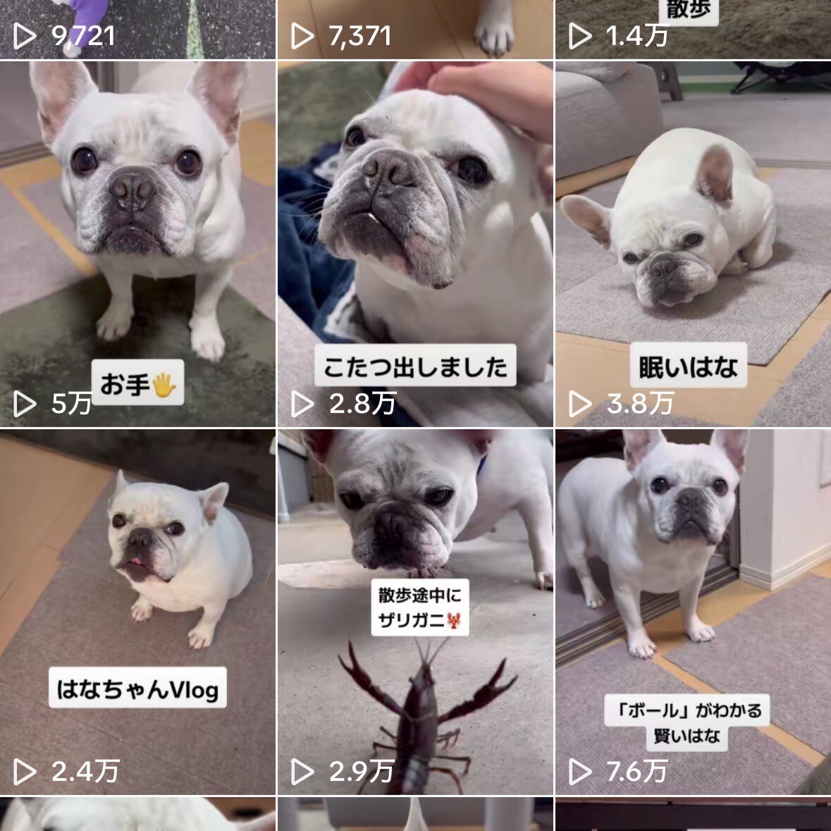 TikTokで商品PRします フォロワー3万人突破！最低2万～3万回再生可能なアカウント！ イメージ1