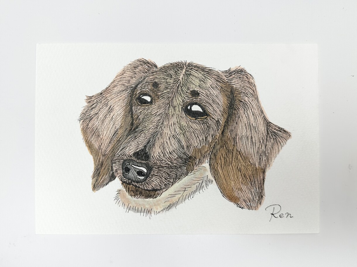 にゃんずわんずのおえかきをします みなさまの愛しい家族を線画でお家に飾りませんか♪ イメージ4