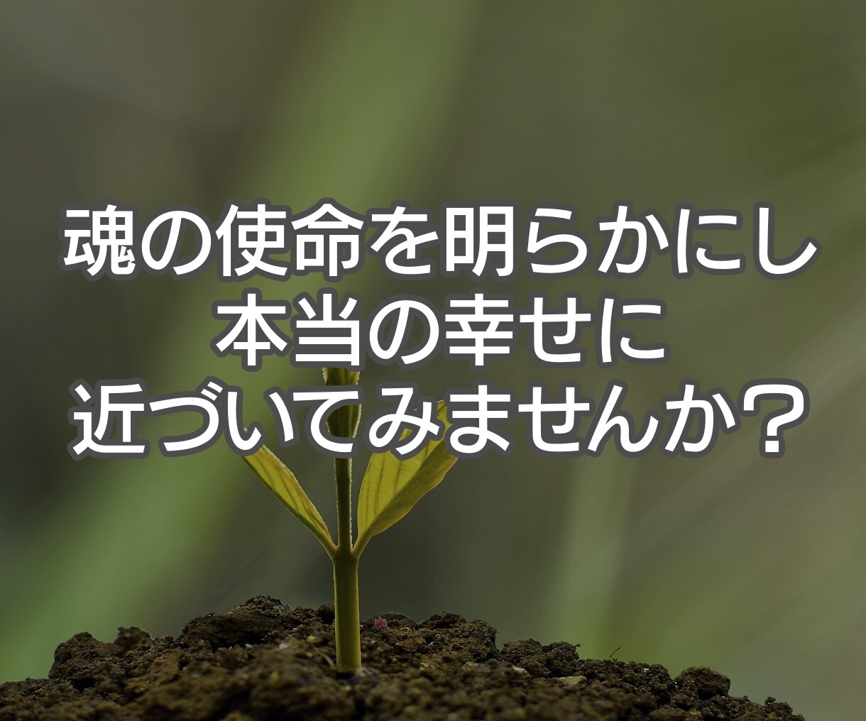 魂の流れに注目しながらあなたの前世を診断します 魂に従うことは、幸せな人生への第一歩です イメージ6