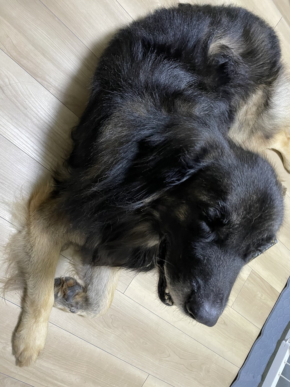 悩んでいる事、聴かせて頂きます 憩いの場所で自分の心に元気を与えてあげませんか？ イメージ1