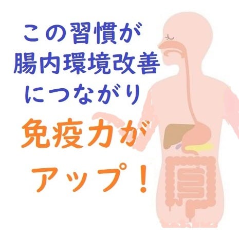 毎朝必ず！快便に導く秘訣をお教えします 。カラダのしくみを利用するある簡単なコツ イメージ2