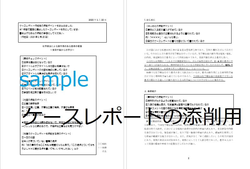 看護の資料作成！ケースレポートの作成を手伝います すぐ書き出せる！様式・書き方・実際の例をまとめてお送りします イメージ4