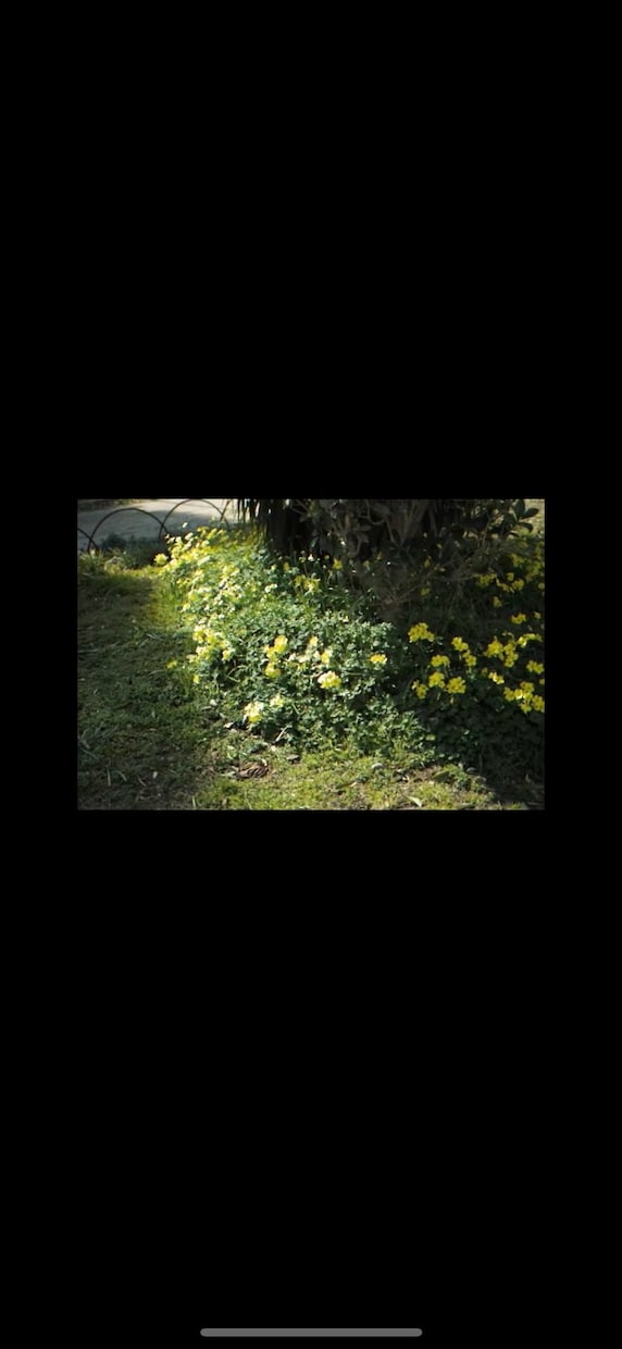 映画のようなプロ仕様の高画質で撮影代行をします “その一瞬を、映画のように。” イメージ4