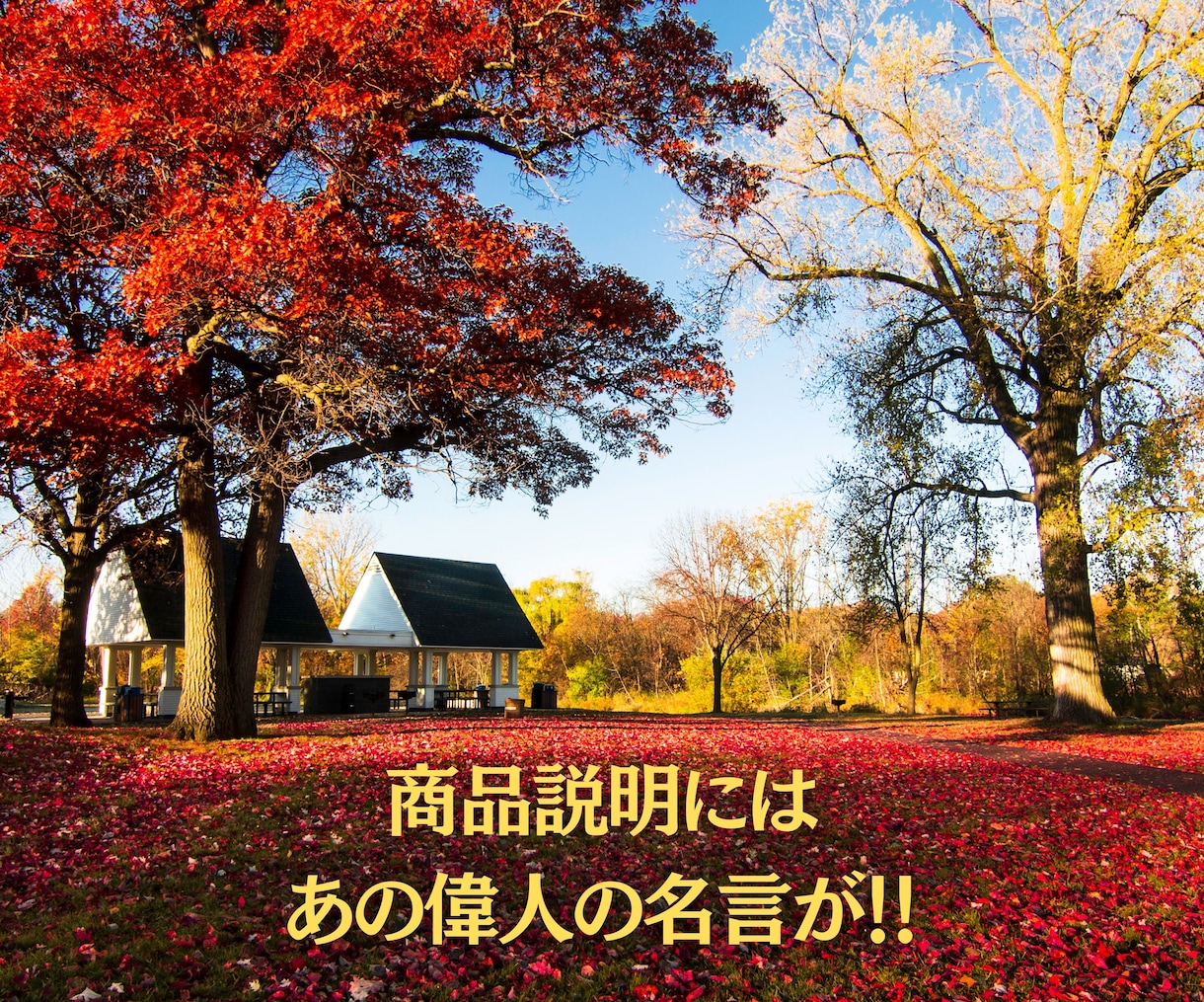 復縁したいけど連絡が来ない元彼の気持ちを占います 片想いの気持ちにお答えします、大恋愛についてお聞かせ下さい イメージ10