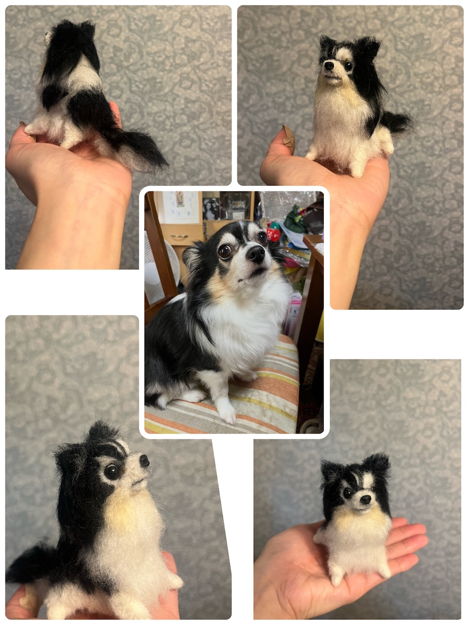 羊毛フェルトで手乗りペットちゃんをお作りします 羊毛在庫の確認の為、ご購入前にお問い合わせ下さいませ。 イメージ7
