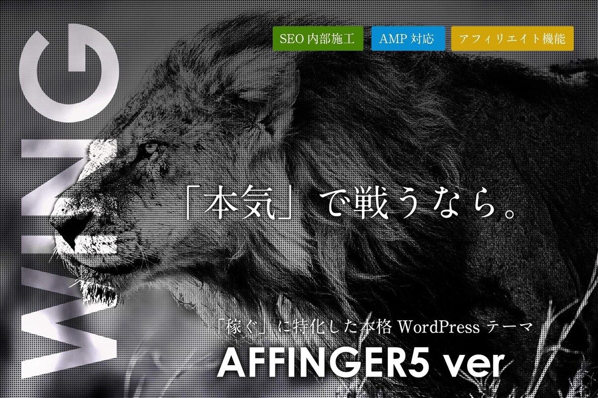 AFFINGER使用のホームページのお手伝いします AFFINGERを購入したが、よく分からない方向け イメージ1