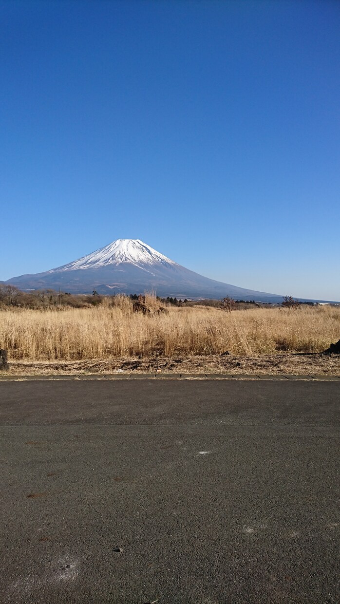 悩みの迷路から抜け出せないあなたの力になります 霊感、タロット、オラクルカードで鑑定します イメージ1