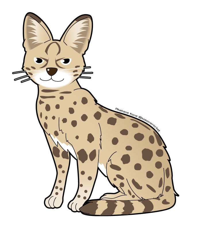 マニアックな生き物の絵を描きます メジャーなものからマニアックな生き物までなんでもOKです イメージ3