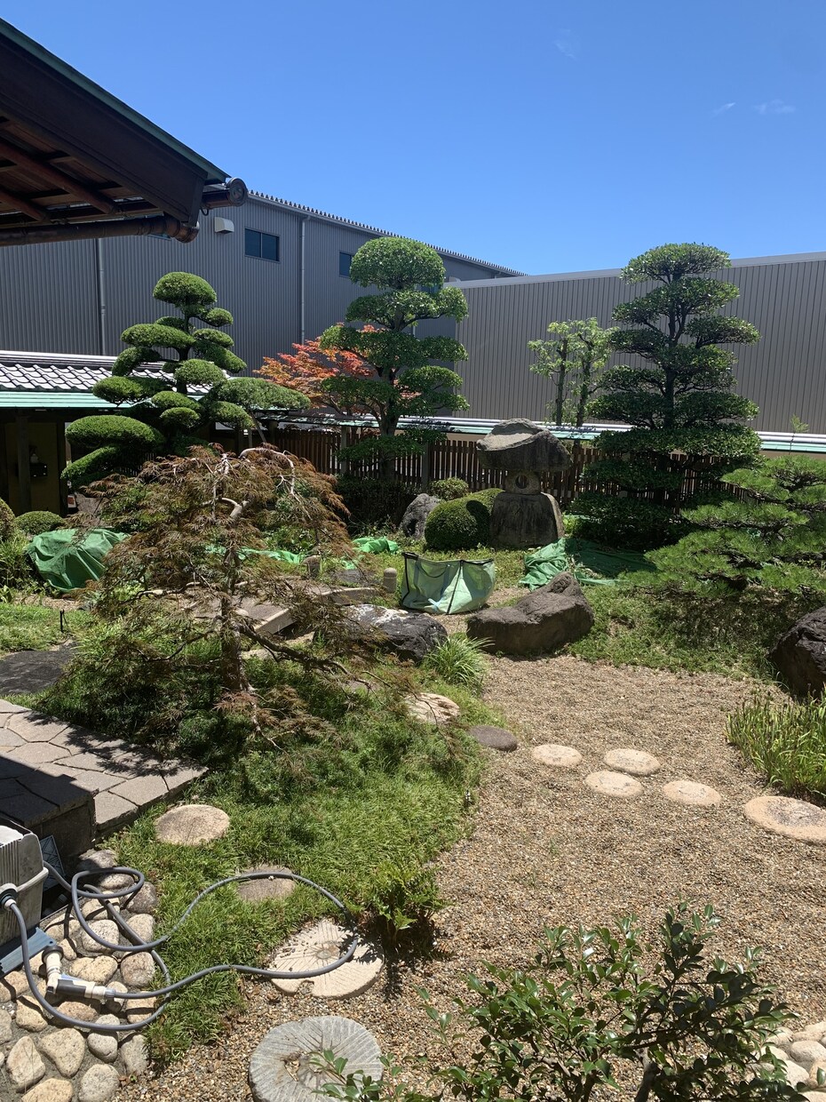 空き家の庭掃除！除草、庭木の剪定します 実家が！転勤で持ち家が！苦情が！を解決します。 イメージ9
